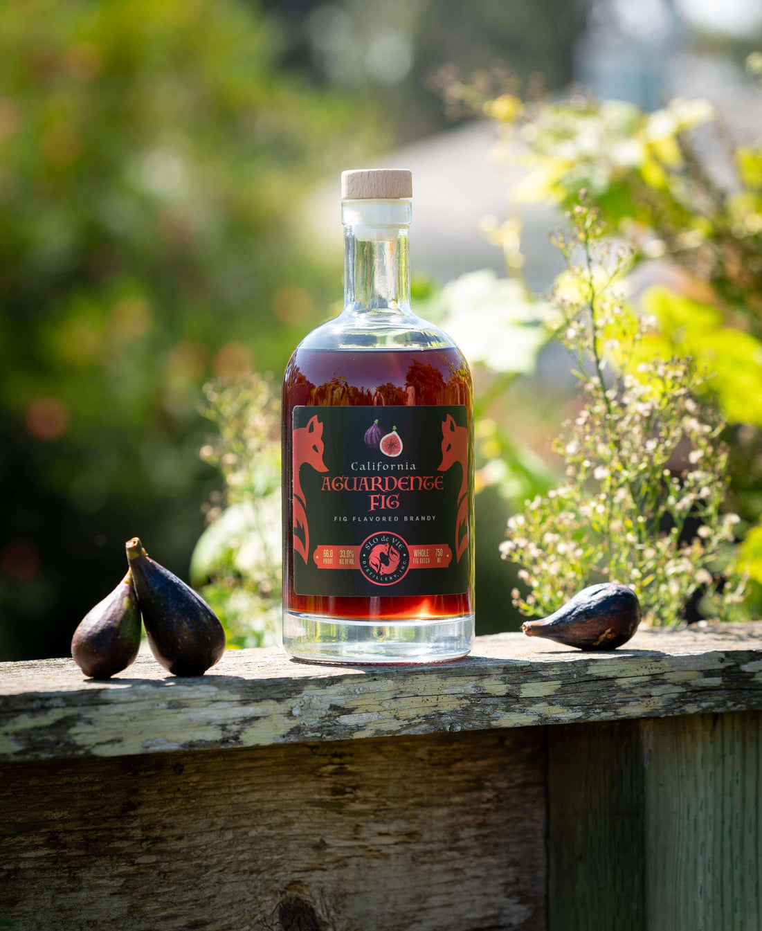 Aguardente Fig