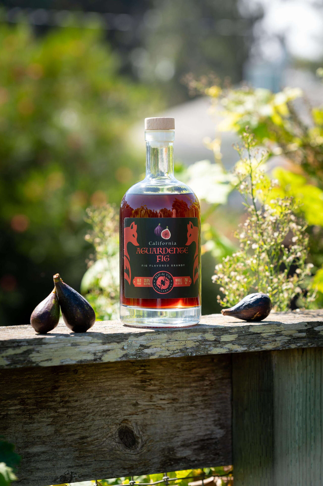 Aguardente Fig